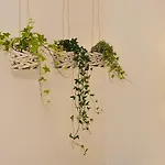 Gasthof Arce Boutique