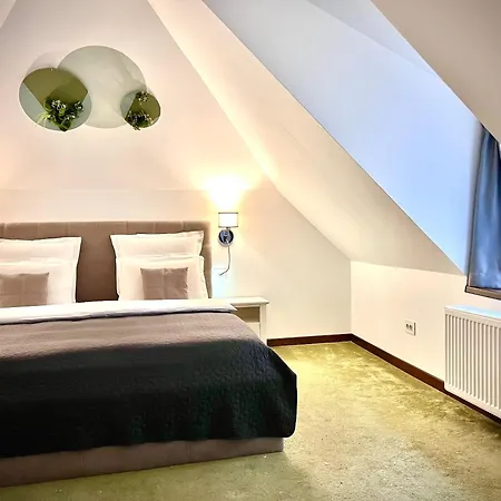 Arce Boutique Gasthuis Braşov