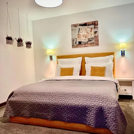بيت ضيافة Arce Boutique براشوف
