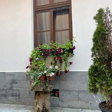 Гостьовий будинок Arce Boutique 3*