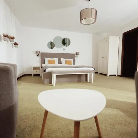 Arce Boutique Maison d'hôtes Braşov