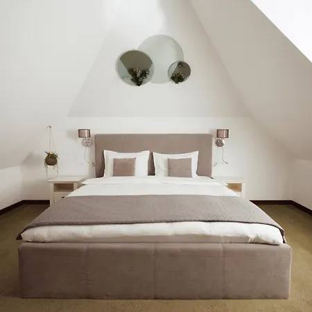 Arce Boutique Maison d'hôtes Braşov