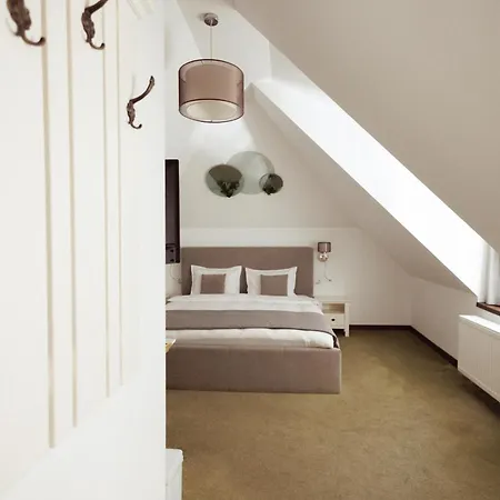 Arce Boutique 3* Braşov