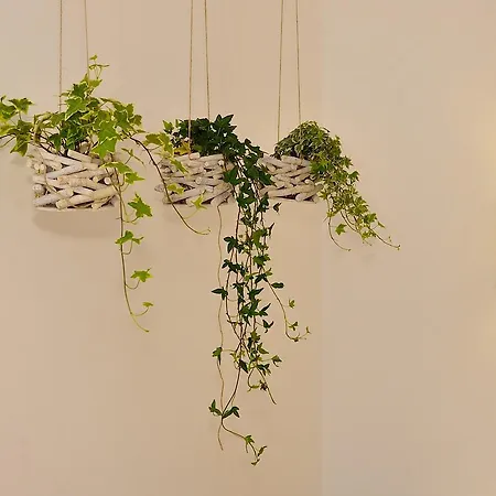 בית הארחה Arce Boutique