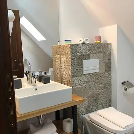 بيت ضيافة Arce Boutique براشوف