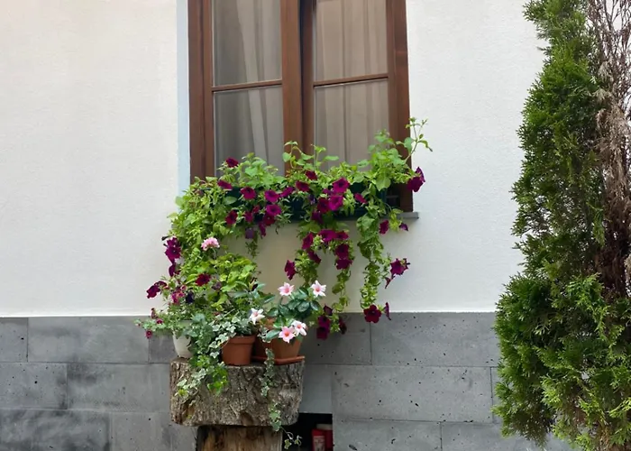 Guest house Arce Boutique 3*