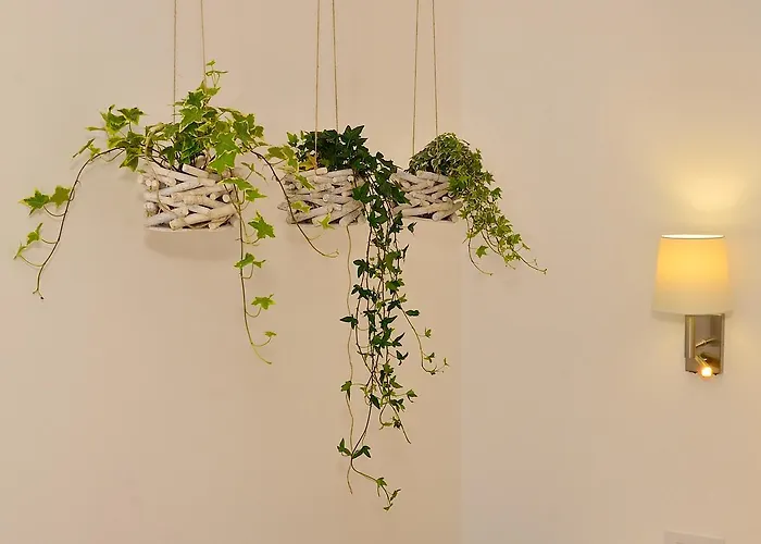 Guest house Arce Boutique